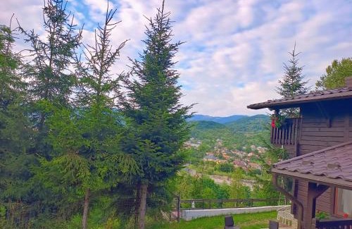 Viseu de Sus House | Panoramic Chalet