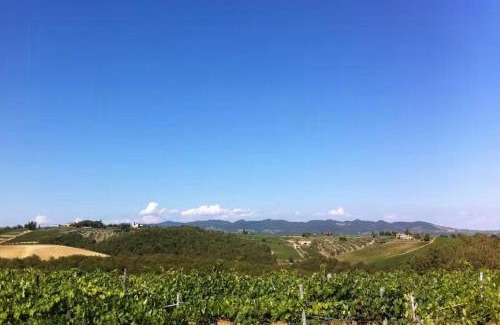 Ponte di Gabbiano House | Panoramic Guesthouse In The Siena Hills