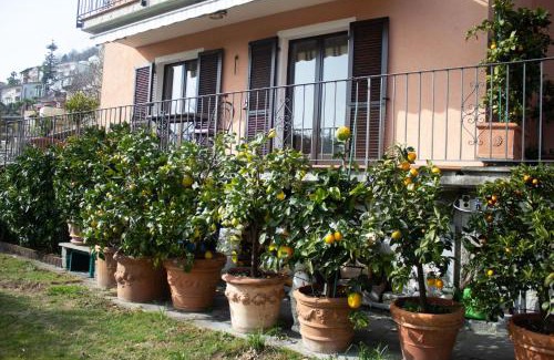 Orselina Apartment | Panoramic Orselina
