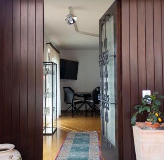 Orselina Apartment | Panoramic Orselina