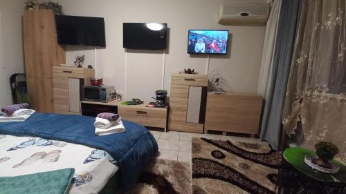 Piatra Neamt Apartment | Panoramic Tower Room