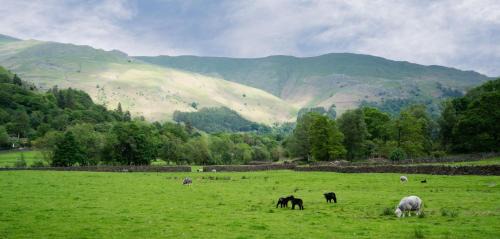 Grasmere House | Panoramic Views & Spacious Living by LetMeStay