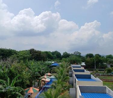 Xuyen Moc Hotel | paparazzi homestay