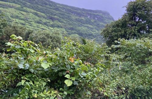 Paud House | Paradise farm house, Girivan