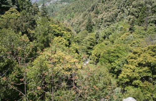 Dalhousie Hotel | Paradise Hills Dalhousie Panchpula - Near Panchpula Water Fall