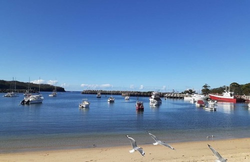 Mollymook Cabin | Paradise in Mollymook