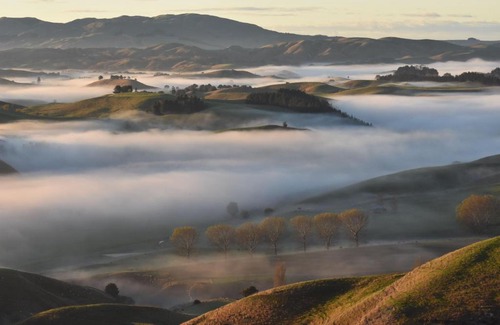 Waipukurau House | Paratu Farm Cottage in a quiet rural setting.