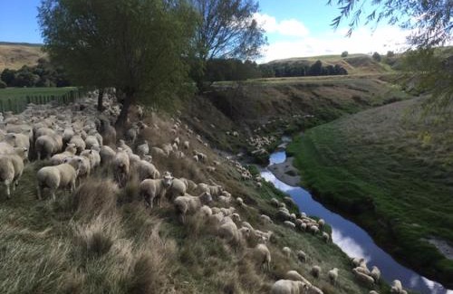 Waipukurau House | Paratu Farm Cottage in a quiet rural setting.