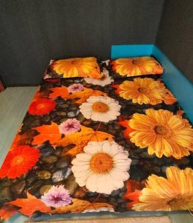 Bacau Apartment | Parc Cancicov Centru