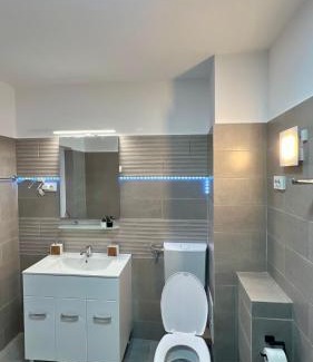 Vatra Dornei Apartment | Parc Vatra Dornei 5 - Big family choice