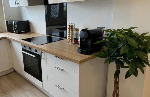 14th Arrondissement Apartment | PARIS-MONTROUGE Magnifique Appartement 2 pièce de 36m2 - très cosy pour 1 à 5 personnes refait à neuf - ENTIRE APARTMENT LUXIRIOUS AND WARM - Montrouge Paris 14ème - Proche Aéroport Orly & Parc Expositions Porte de Versailles FREE WIFI GRATUIT
