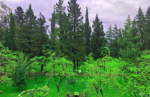 Kutaisi Hotel | Park Hotel Imeri Kutaisi