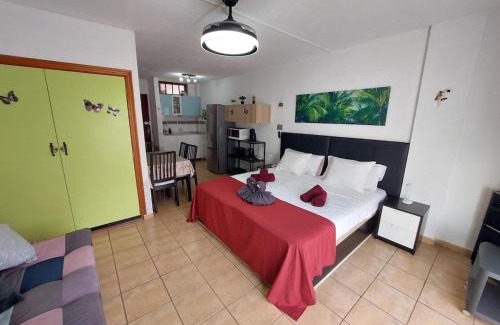 El Madronal Apartment | Parque Cattleya 101 cozy studio in the center