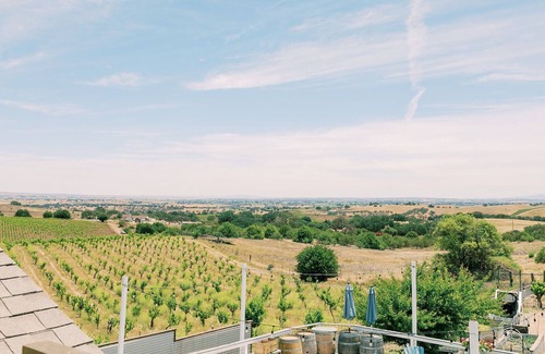 Paso Robles Apartment | Paso Robles Experience -Video Tour- EV Charging free