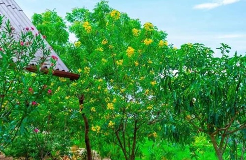 Pasikuda Resort | Passi Nature Villas Pasikuda