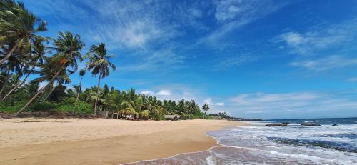 Tangalle House | Patini Bungalows - Beach Garden