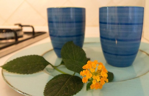 Villasimius Apartment | PAVONCELLE - Apartment in Villasimius with private garden, near the sea