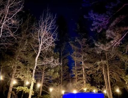 Woodland Park House | Peace in the Pines Hot Tub & Pikes Peak Views
