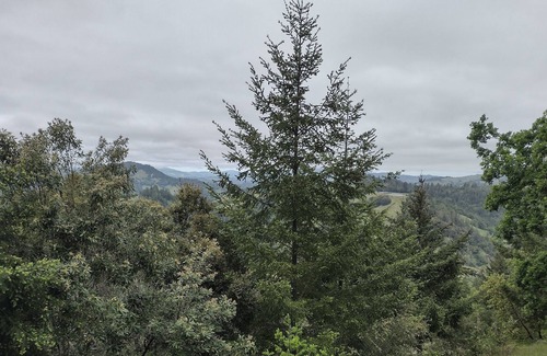 Benbow House | Peaceful Benbow Escape