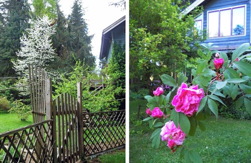 Courtenay Apartment | Peaceful, comfortable getaway - surrounded by gardens and forest.
