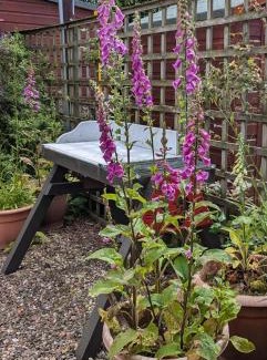 Peebles House | Peaceful Getaway In Peebles