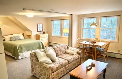 North Woodstock Apartment | Peaceful Mtn Studio Pet-friendly
