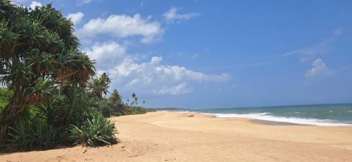 Tangalle House | Peacock Family Stay