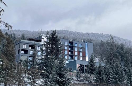 Baile Balvanyos Hotel | Peakture Hotel Balvanyos