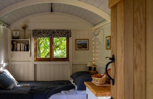 Ballymoney Bed & Breakfast | Peatlands