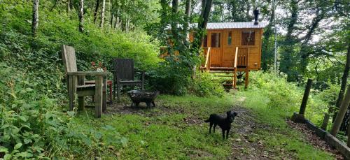 Hebden Bridge Other | Peggy's Cabin in the Woods