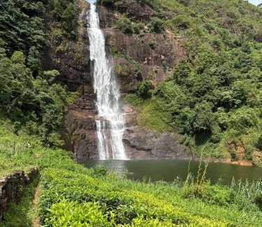 Maskeliya House | Pekoe Lodge