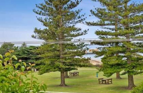 Queenscliff Apartment | Pelicans at the Ozone