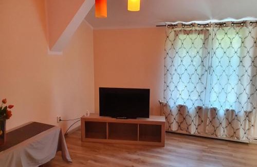 Viseu de Sus House | Pension Agnes
