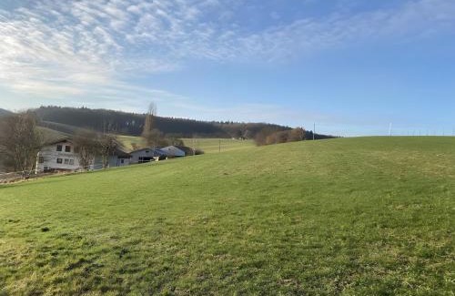 Horrenberg House | Pension am Hohberghof Dielheim
