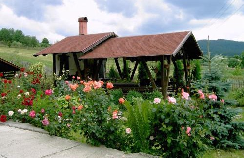 Gura Humorului House | Pension Anastasia