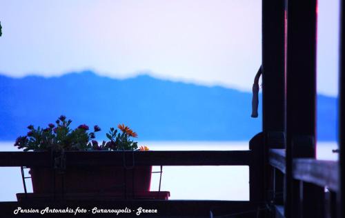 Ouranoupoli House | Pension Antonakis Ouranoupolis Greece