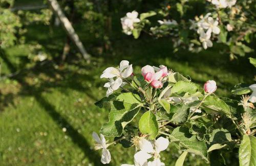 Obermieming House | Pension Bauernhof Spielmann