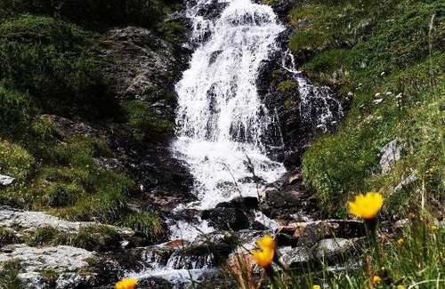 Neustift Im Stubaital House | Pension Bergwelt