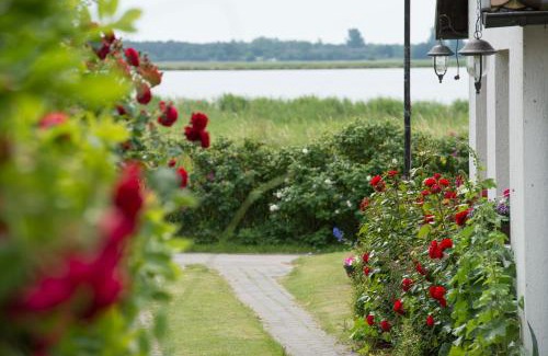 Middelhagen House | Pension Deichgraf Middelhagen