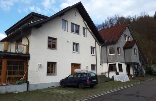 Schoenau im Schwarzwald Apartment | Pension Goldmann - Ferienwohnung 2