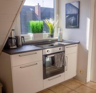 Hahnlein Apartment | Pension Nickel Ferienwohnung DG Am Holzlachgraben