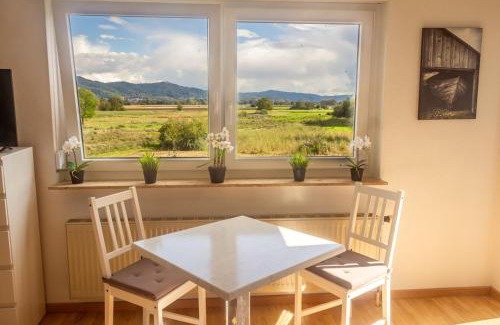 Hahnlein Apartment | Pension Nickel Ferienwohnung DG Am Holzlachgraben