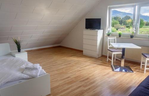 Hahnlein Apartment | Pension Nickel Ferienwohnung DG Am Holzlachgraben