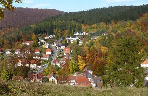 Bad Grund House | Pension Rheingold Garni