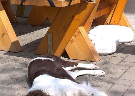Nebra House | Pension Sommerfrische