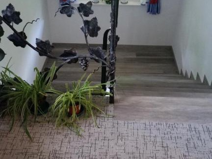 Rifiano House | Pension Weinberg