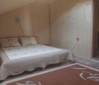 Prahova County House | Pensiune Colina Farm