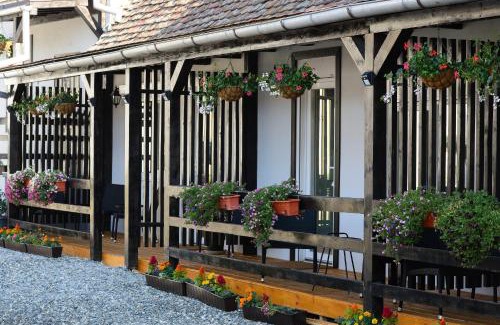 Sibiu House | Pensiunea Alina "Adults Only"