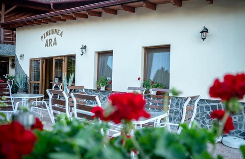 Alba Iulia House | Pensiunea Ara