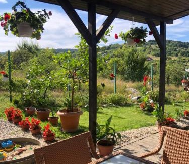 Cisnadie House | Pensiunea Casa cu Flori
